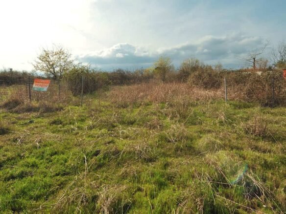 Αγροτεμάχιο στα Μεσάγκαλα δίπλα στην αποθήκη από μακριά Προβατίδης μεσιτικά