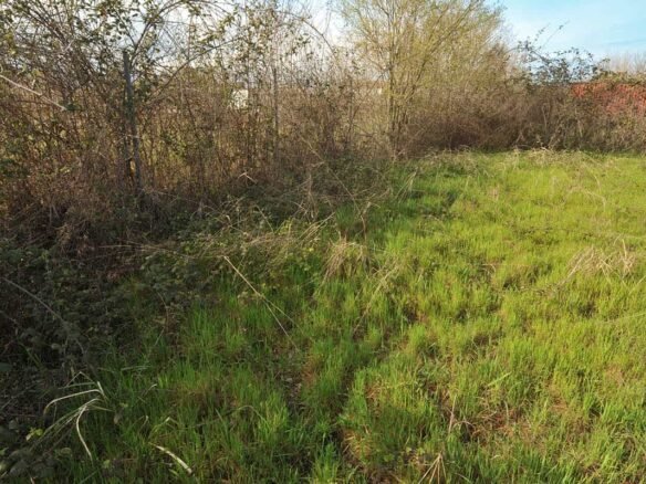 Αγροτεμάχιο στα Μεσάγκαλα δίπλα στην αποθήκη από μακριά μέσα στο οικοπεδο Προβατίδης μεσιτικά