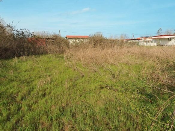 Αγροτεμάχιο στα Μεσάγκαλα δίπλα στην αποθήκη από μακριά μέσα στο οικοπεδο με πράσινα χόρτα Προβατίδης μεσιτικά