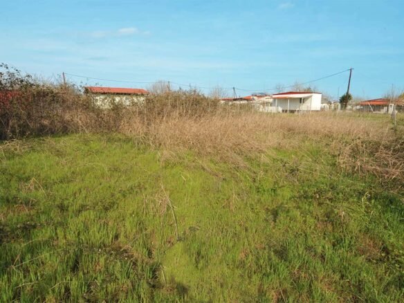 Αγροτεμάχιο στα Μεσάγκαλα δίπλα στην αποθήκη από μακριά μέσα στο οικοπεδο με χόρτα Προβατίδης μεσιτικά