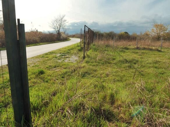 Αγροτεμάχιο στα Μεσάγκαλα πρόσβαση από άσφαλτο Προβατίδης μεσιτικά