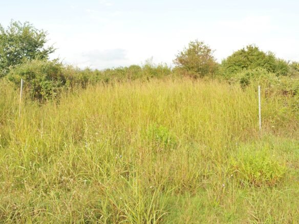 Παραθαλάσσο ακίνητο σε ποιο ιδιοτικό δρόμο-εαξαιρετική θέση και τιμή-2