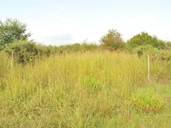 Παραθαλάσσο ακίνητο σε ποιο ιδιοτικό δρόμο-εαξαιρετική θέση και τιμή-3