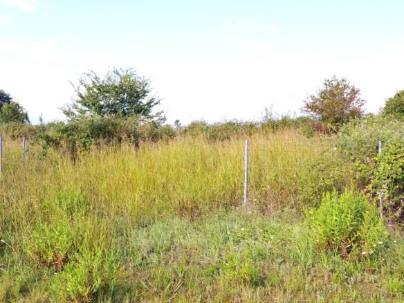 Παραθαλάσσο ακίνητο σε ποιο ιδιοτικό δρόμο-εαξαιρετική θέση και τιμή-4