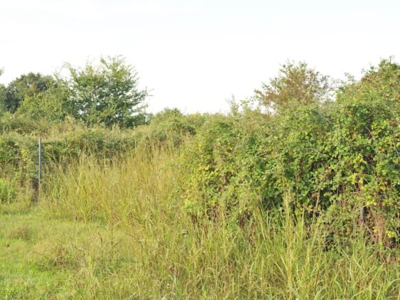 Ακίνητο κοντά στην άσφαλτο σε ποιο ιδιοτικό δρόμο-1