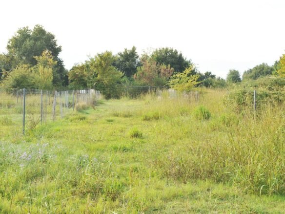 Ακίνητο κοντά στην άσφαλτο σε ποιο ιδιοτικό δρόμο-2