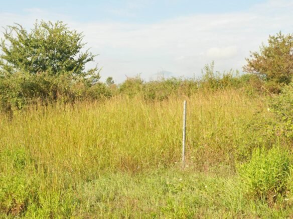 Ακίνητο κοντά στην άσφαλτο σε ποιο ιδιοτικό δρόμο-4