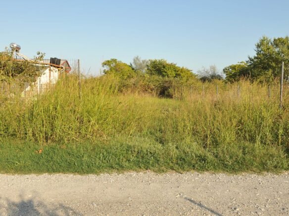 Παραθαλάσσιο αγροτεμάχιο σε καλή θέση και ωραία τοποθεσία-1