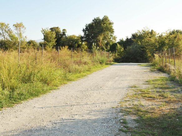 Παραθαλάσσιο αγροτεμάχιο σε καλή θέση και ωραία τοποθεσία-4