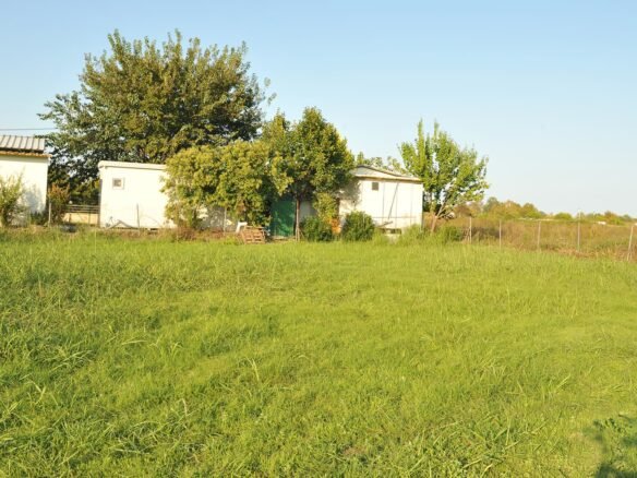 Οικονομικο Αγροτεμάχιο στα Μεσάγκαλα-Καστρί Λουτρό με καλό ορθωγώνιο σχήμα-4