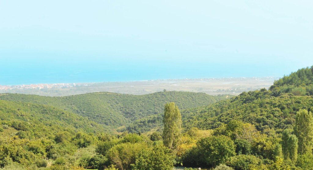 Υπέροχη θέα από ψιλά μέχρι την θάλασσστην Αιγάνηα