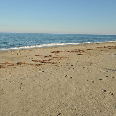Νέα Μεσάγκαλα παραλία feutured image