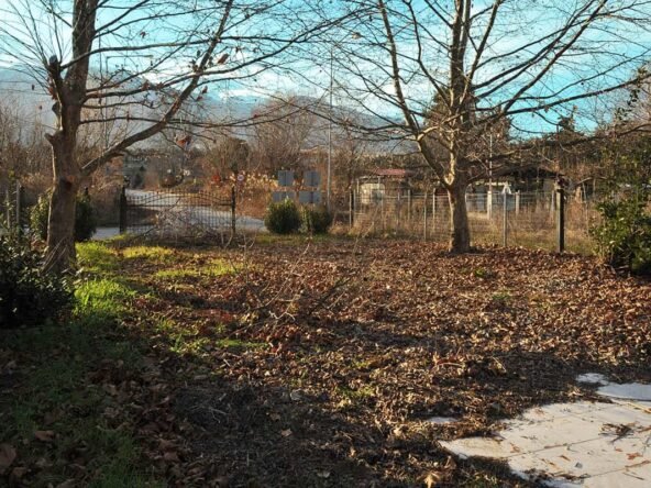 Παραθαλάσσιο αγροτεμάχιο 1 (15)