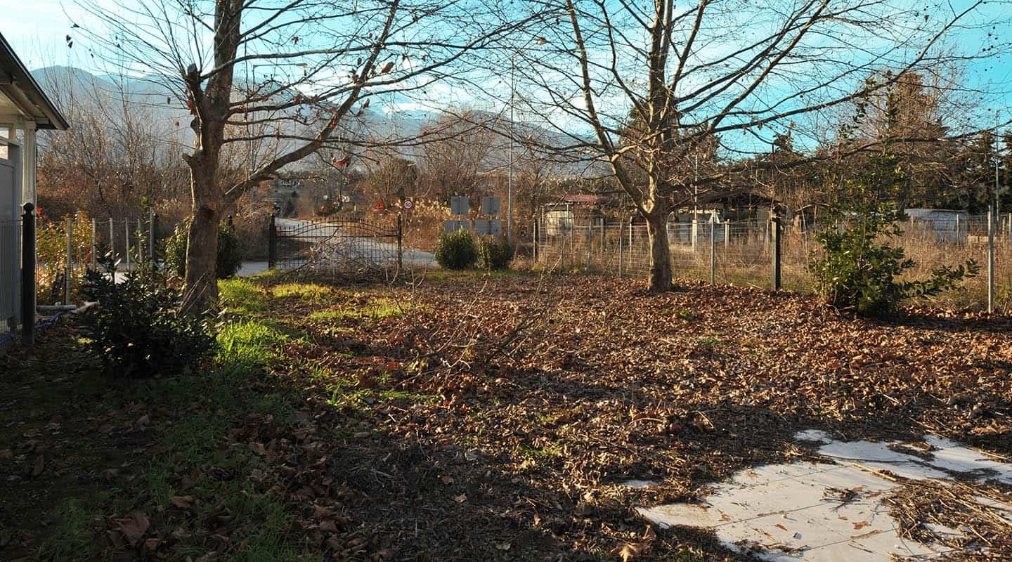 Παραθαλάσσιο αγροτεμάχιο-οικόπεδο κοντά στην θάλασσα στην Λεπτοκαρυά-με φόντο τον Όλυμπο και δρόμο-Προβατίδης Στάθης