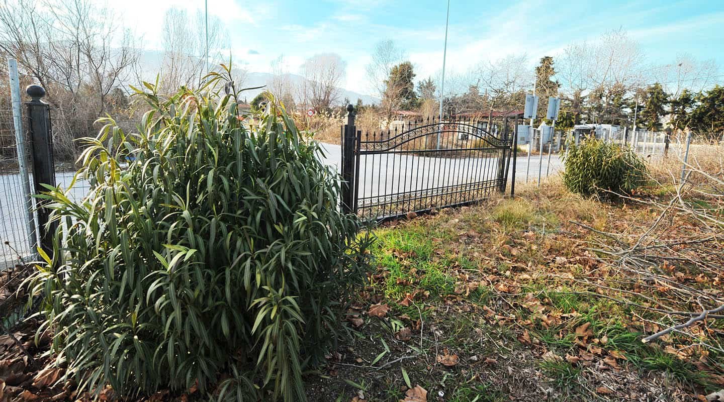 Παραθαλάσσιο αγροτεμάχιο-οικόπεδο κοντά στην θάλασσα στην Λεπτοκαρυά-πλαινή όψη στον δρόμο προς το πλάι του Olympian Bay-Προβατίδης Στάθης