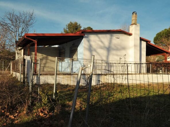 Παραθαλάσσιο αγροτεμάχιο 1 (26)