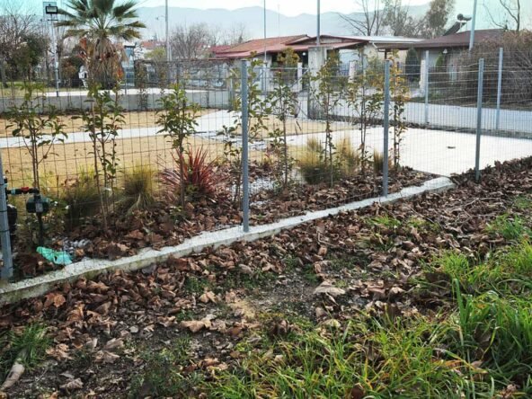 Παραθαλάσσιο αγροτεμάχιο 1 (27)