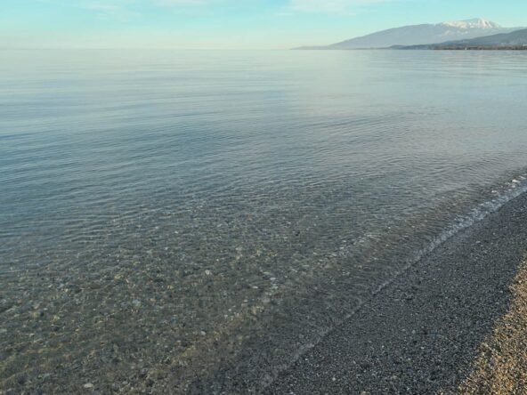 Παραθαλάσσιο αγροτεμάχιο 1 (4)