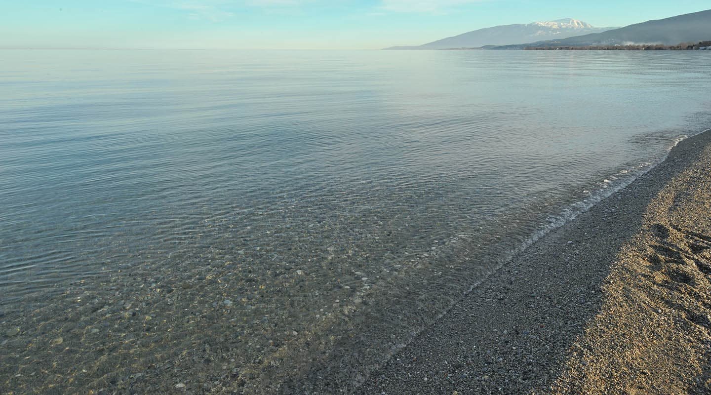 Παραθαλάσσιο αγροτεμάχιο-οικόπεδο κοντά στην θάλασσα στην Λεπτοκαρυά-θέα στα κρυστάλλινα νερά κοντα του αγροτεμαχίου-Προβατίδης Στάθης