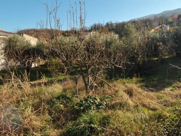 Στόμιο10-Προβατίδης Στάθης