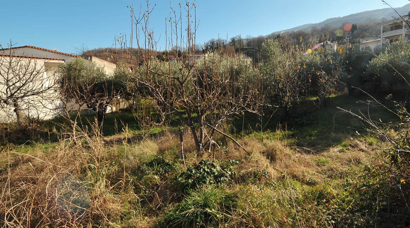 Παραθαλάσσιο οικόπεδο στο Στόμιο-Αγιά θέα στον ελαιώνα δυτικά-Προβατίδης Στάθης