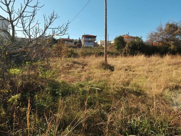 Στόμιο12-Προβατίδης Στάθης