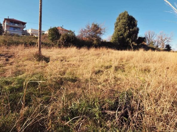 Στόμιο13-Προβατίδης Στάθης