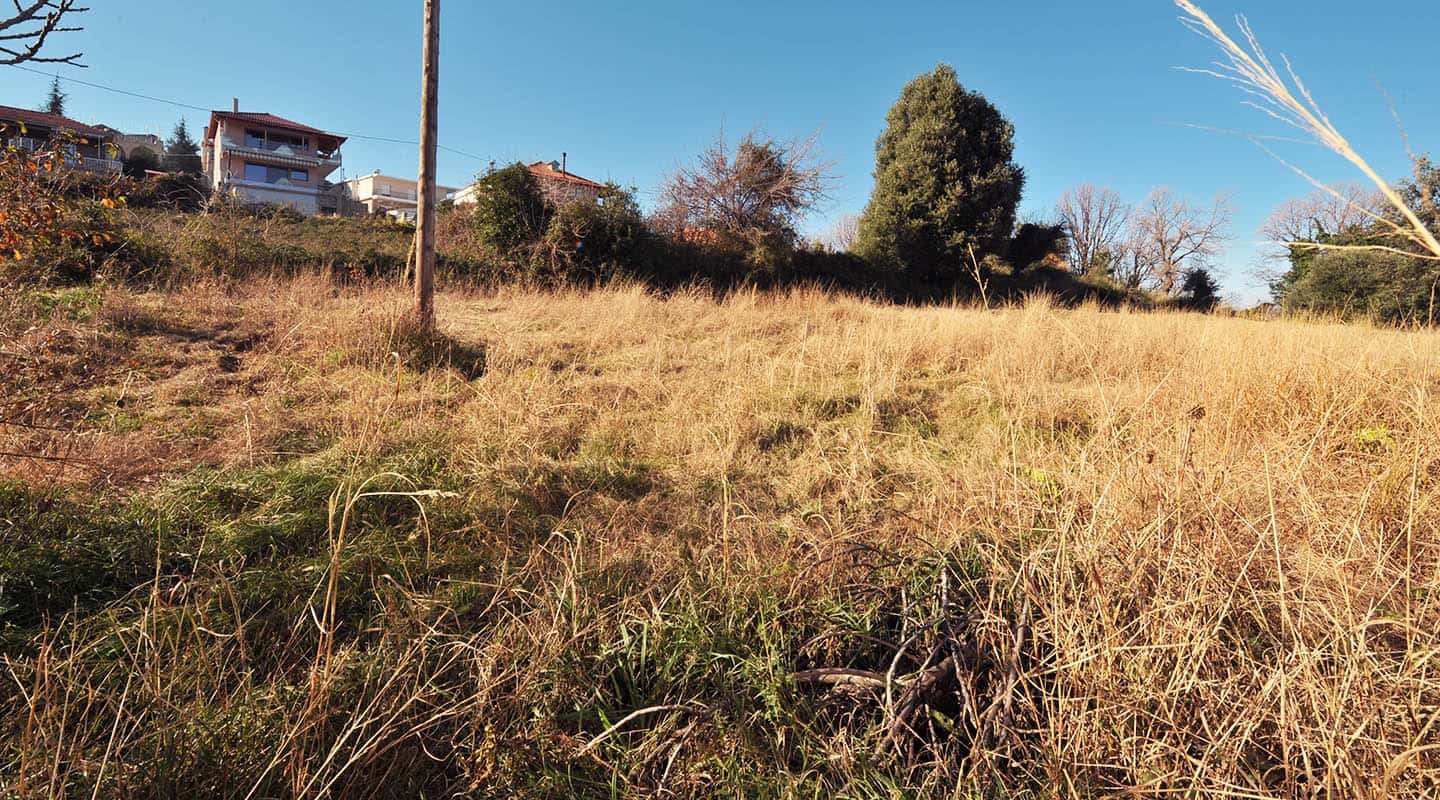 Παραθαλάσσιο οικόπεδο στο Στόμιο-Αγιά θέα προς τα σπίτια βόρεκιοανατολικά-Προβατίδης Στάθης