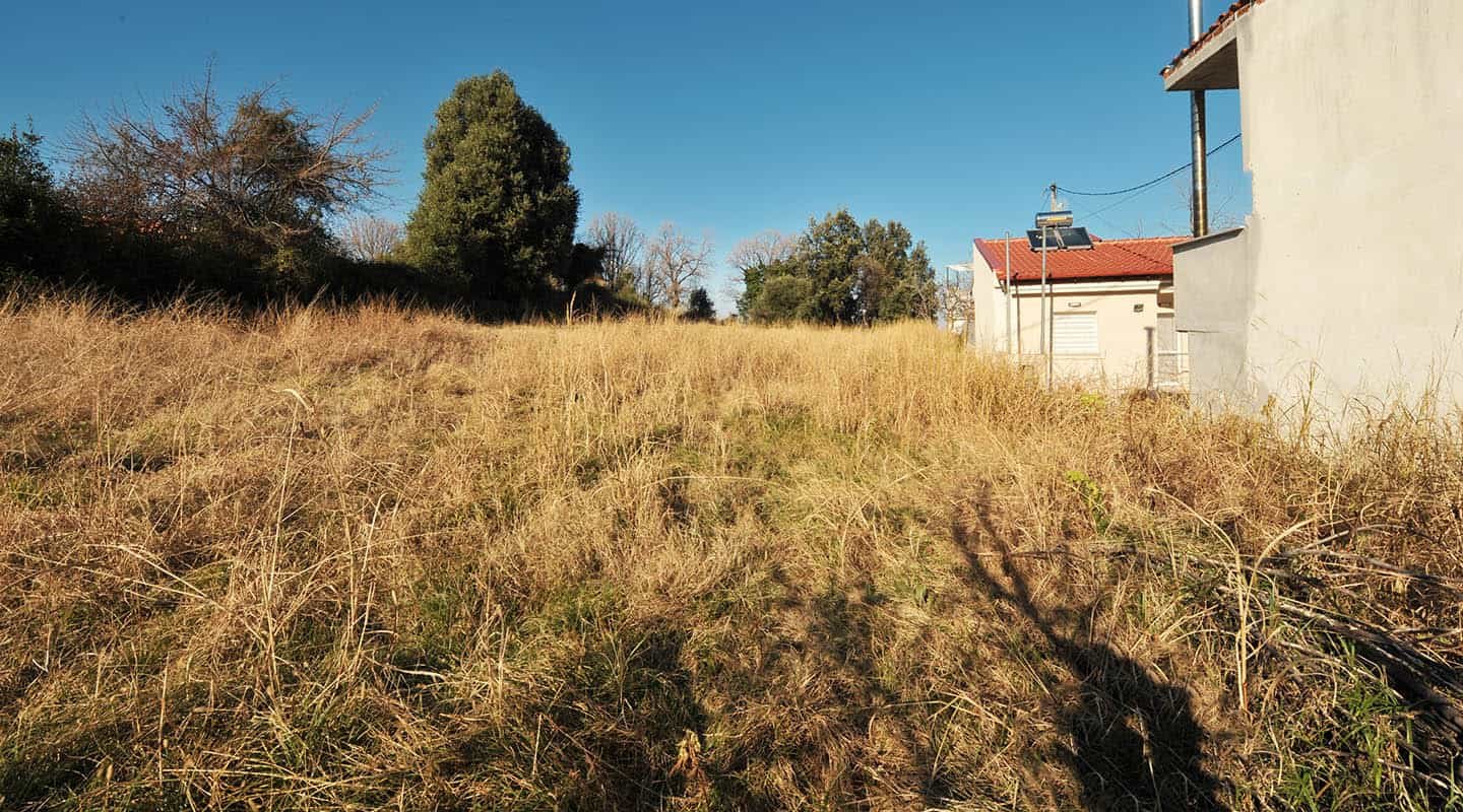 Παραθαλάσσιο οικόπεδο στο Στόμιο-Αγιά θέα προς την θάλασσα από το βάθος-Προβατίδης Στάθης