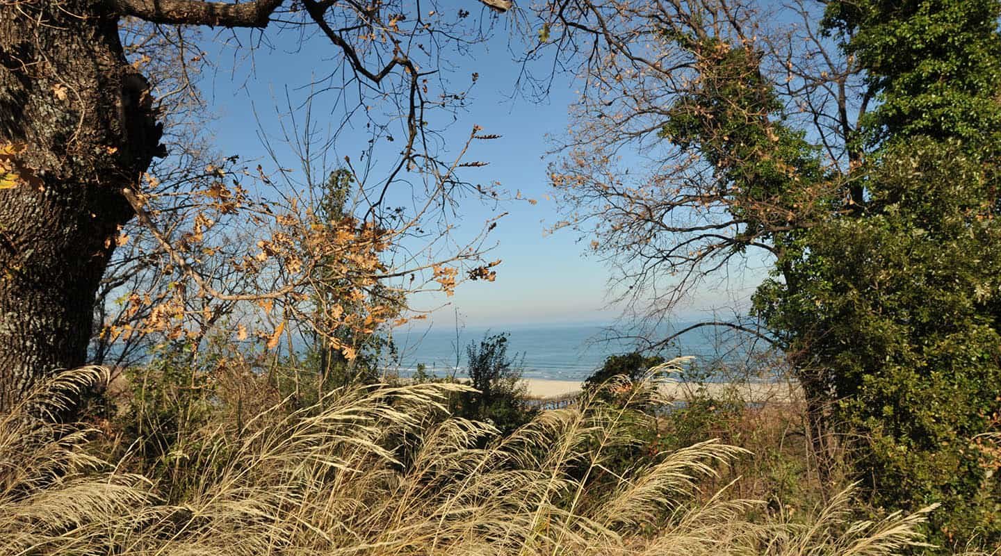 Παραθαλάσσιο οικόπεδο στο Στόμιο-Αγιά θέα από ύψωμα-Προβατίδης Στάθης