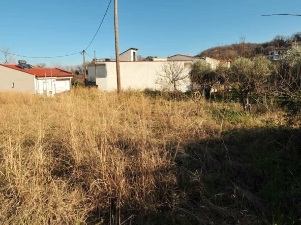 Στόμιο9-Προβατίδης Στάθης
