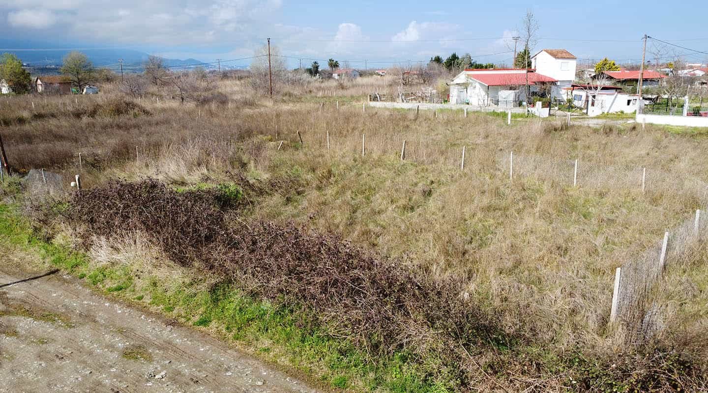 Αγροτεμάχιο από μπροστά και πλάι με βουνό στο βάθος-Προβατίδης μεσιτικά