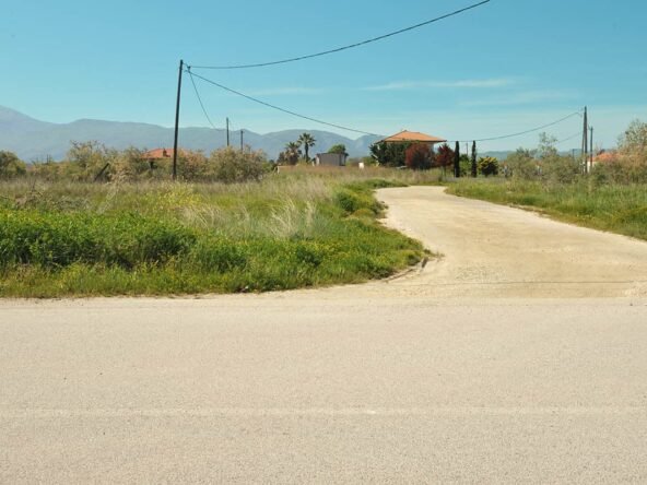 DSC_3047 Provatidis μεσιτικό Καστρί Λουτρό - Μεσάγγαλα