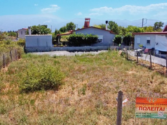 Προβατίδης μεσιτικά- θέα προς το αγροτεμάχιο από ψηλά προς πρόσοψη