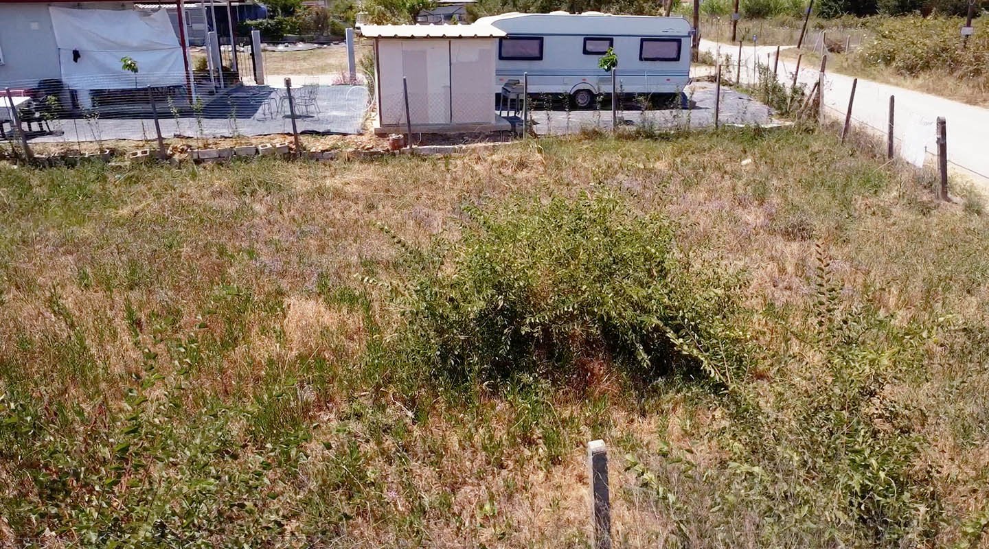 Προβατίδης μεσιτικά- θέα προς το αγροτεμάχιο από πλάι μπρος το γειτονικό αγροτεμάχιο