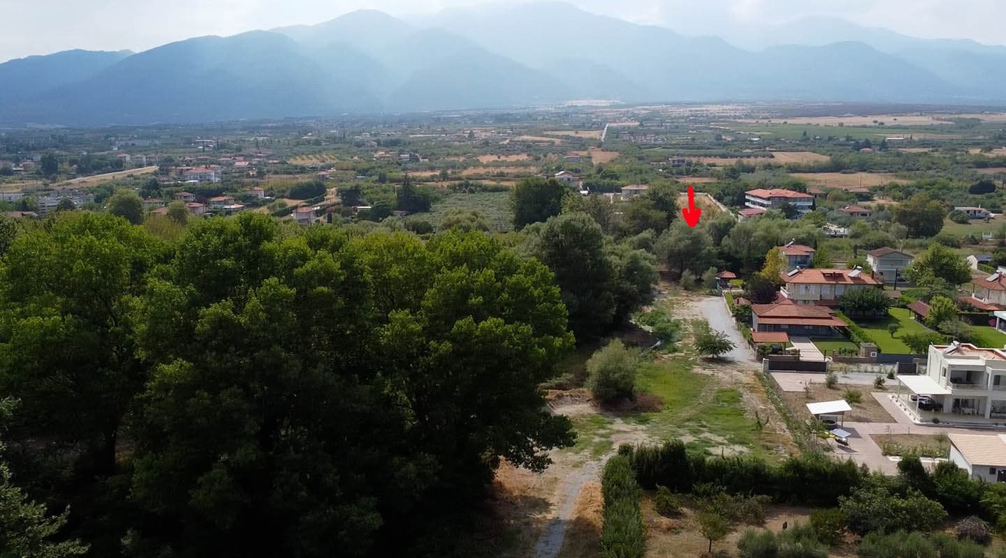 Προβατίδης μεσιτικά Πλακα Λιτοχώρου-Λεπτοκαρυά θέα από ψηλά από την παραλία προς το παραθαλάσσιο αγροτεμάχιο και των Όλυμπο