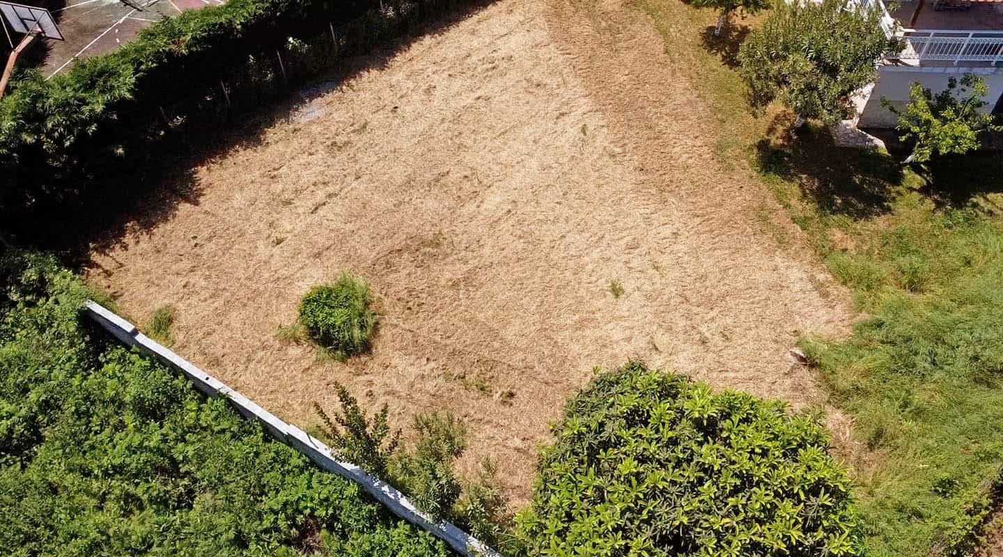 Προβατίδης μεσιτικά Πλάκα Λιτοχώρου αγροτεμάχιο από ψηλά με φράχτη από δέντρα λέιλαντ στο δρόμο