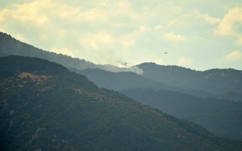 Προβατίδης μεσιτικά - Όλυμπος - Φωτιά στον Όλυμπο με δύο αεροπλάνα στην κατάσβεση και ρίψεις νερού