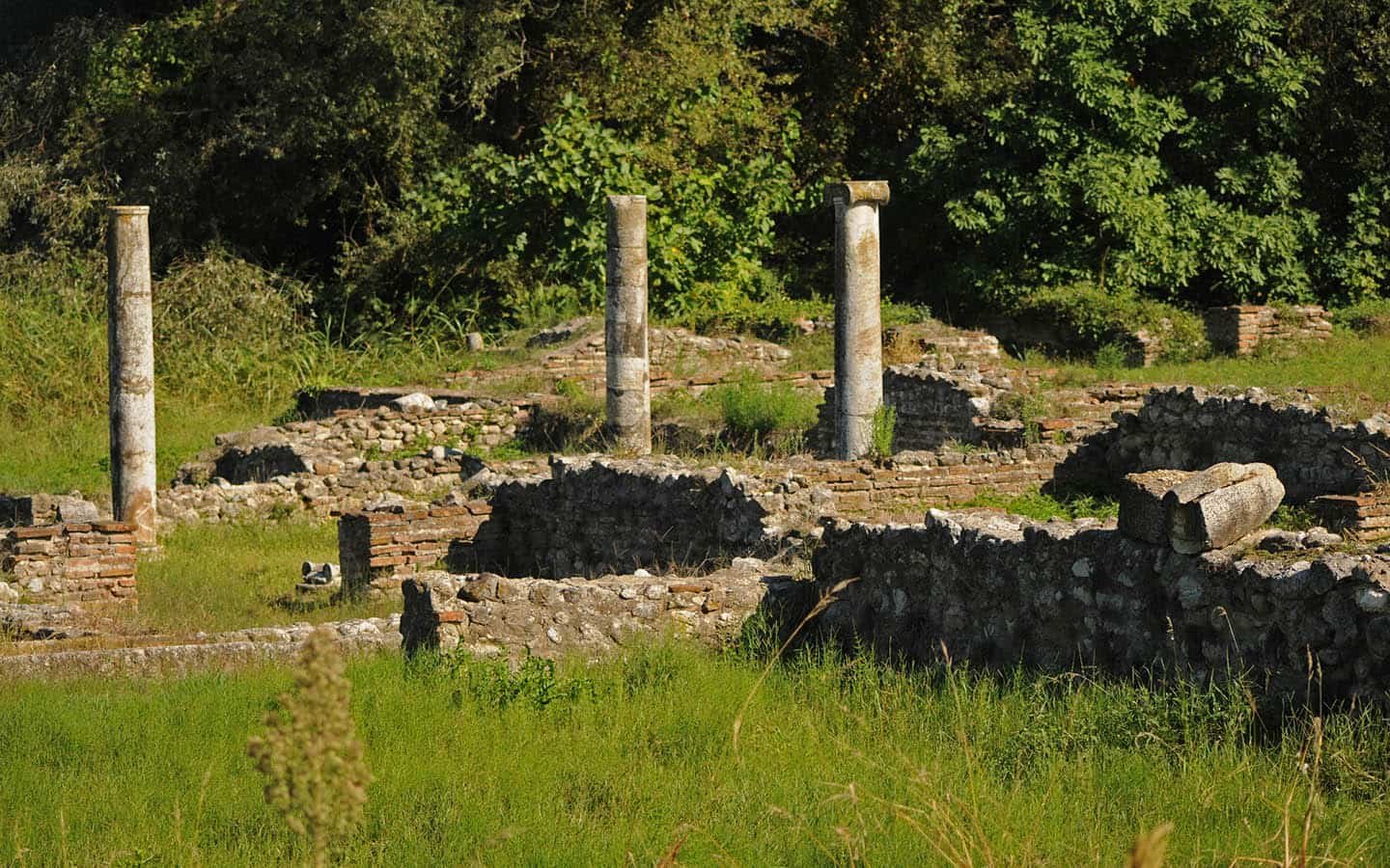 Προβατίδης μεσιτικά Δίον αρχαιολογικός εξωτερικός χώρος με ερείπια