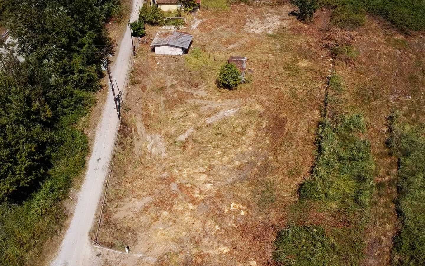 Προβατιδης μεσιτικά Γρίτσα θέα από ψιλάστο παραθαλάσσιο αγροτεμάχιο