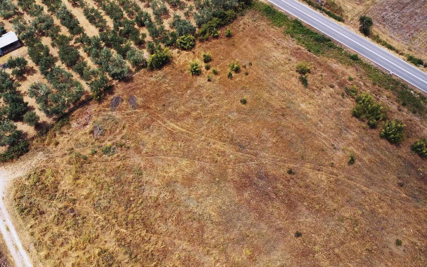 Προβατίδης μεσιτικά Πλάκα Λιτοχώρου δρόμος και ελαίωνας δίπλα στο αγροτεμάχιο