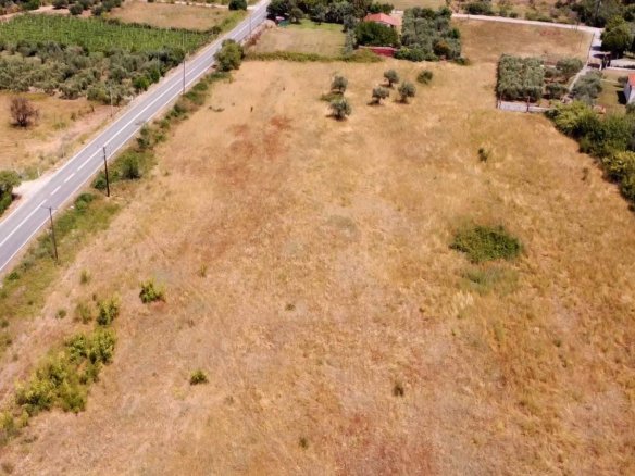 Προβατίδης μεσιτικά Πλάκα Λιτοχώρου θέα από ψηλά στο παραθαλάσσιο αγροτεμάχιο