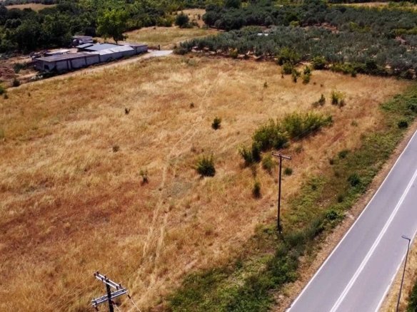 Προβατίδης μεσιτικά Πλάκα Λιτοχώρου θέα από ψηλά από στο αγροτεμάχιο με φόντο τους ελαίωνες