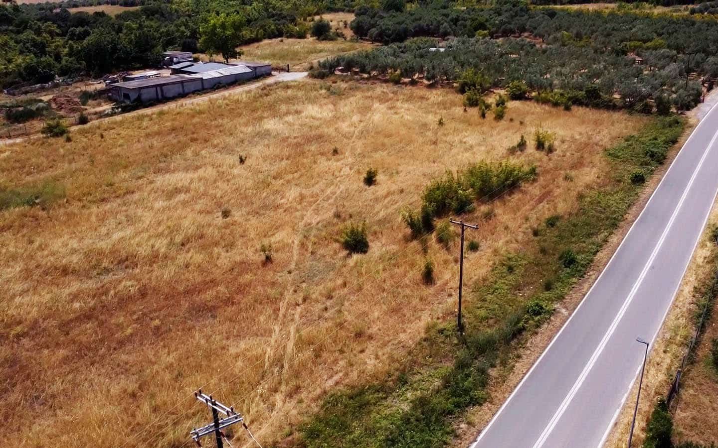 Προβατίδης μεσιτικά Πλάκα Λιτοχώρου θέα από ψηλά από στο αγροτεμάχιο με φόντο τους ελαίωνες