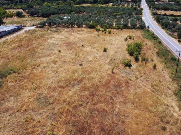 Προβατίδης μεσιτικά Πλάκα Λιτοχώρου θέα από ψηλά από στο αγροτεμάχιο με φόντο τον δρόμο και των ελαίωνα