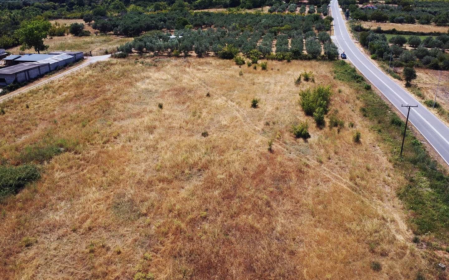 Προβατίδης μεσιτικά Πλάκα Λιτοχώρου θέα από ψηλά από στο αγροτεμάχιο με φόντο τον δρόμο και των ελαίωνα