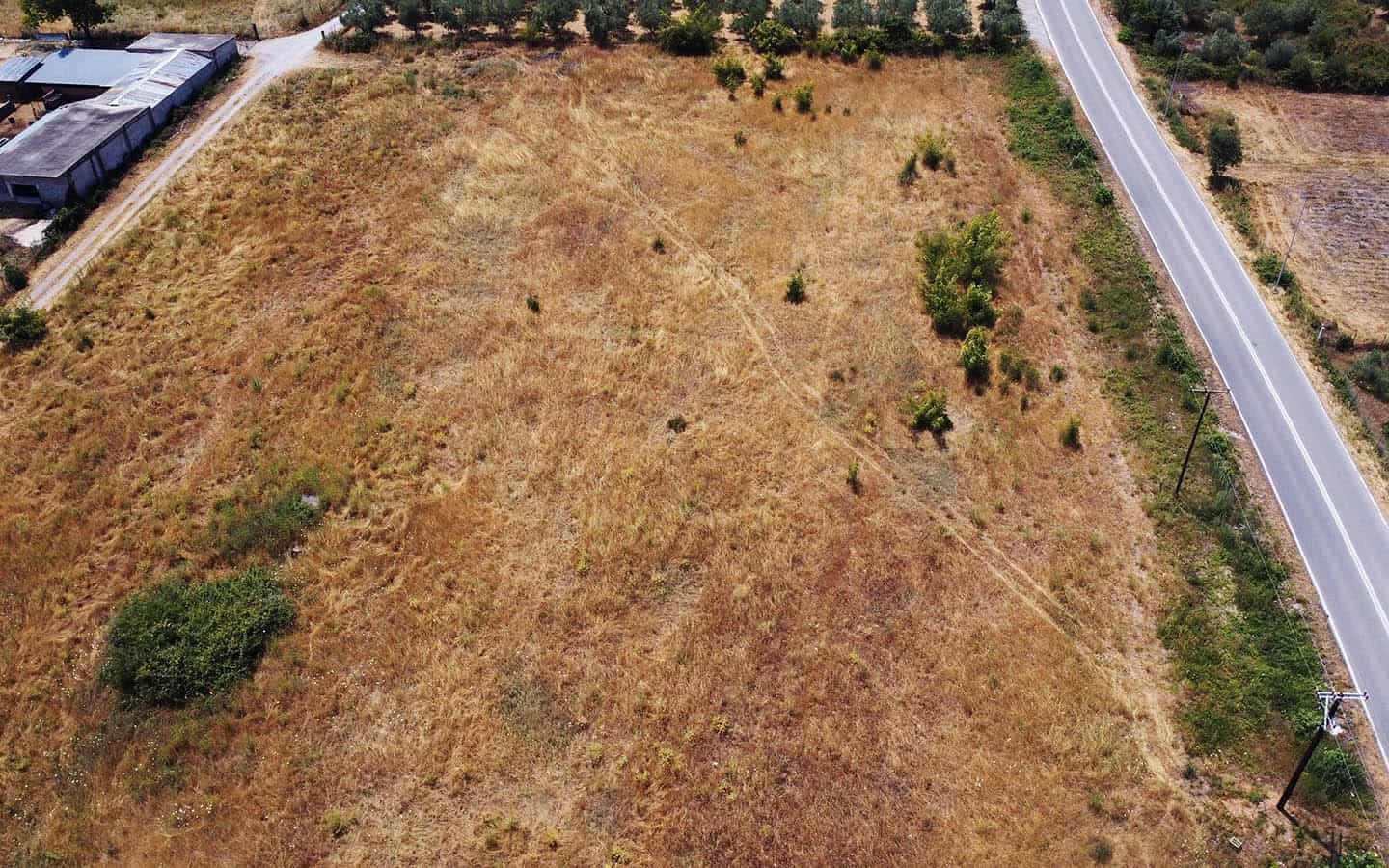 Προβατίδης μεσιτικά Πλάκα Λιτοχώρου ελαιώνες από ψιλά με αγροτεμάχιο