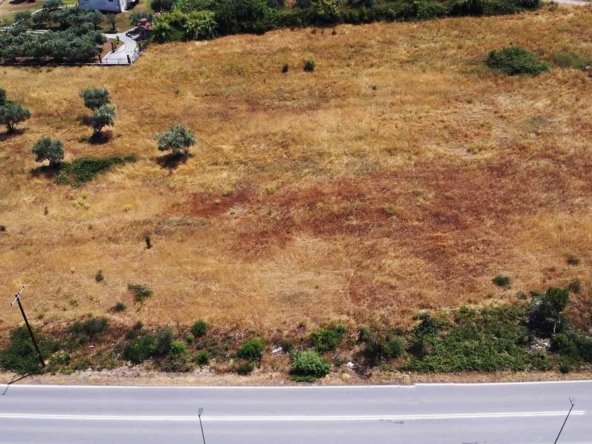 DJI_0810 copy