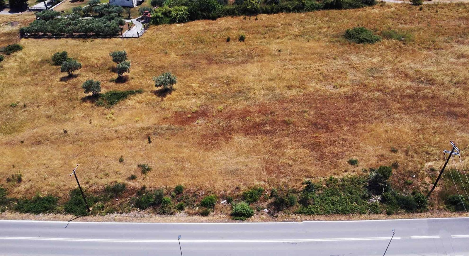 Προβατίδης μεσιτικά Πλάκα Λιτοχώρου θέα μετωπικά στο αγροτεμάχιο