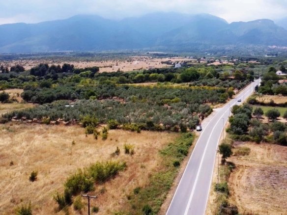 Προβατιδης μεσιτικά όλυμπος με σύνεφα, ελαίωνας και αγροτεμάχιο